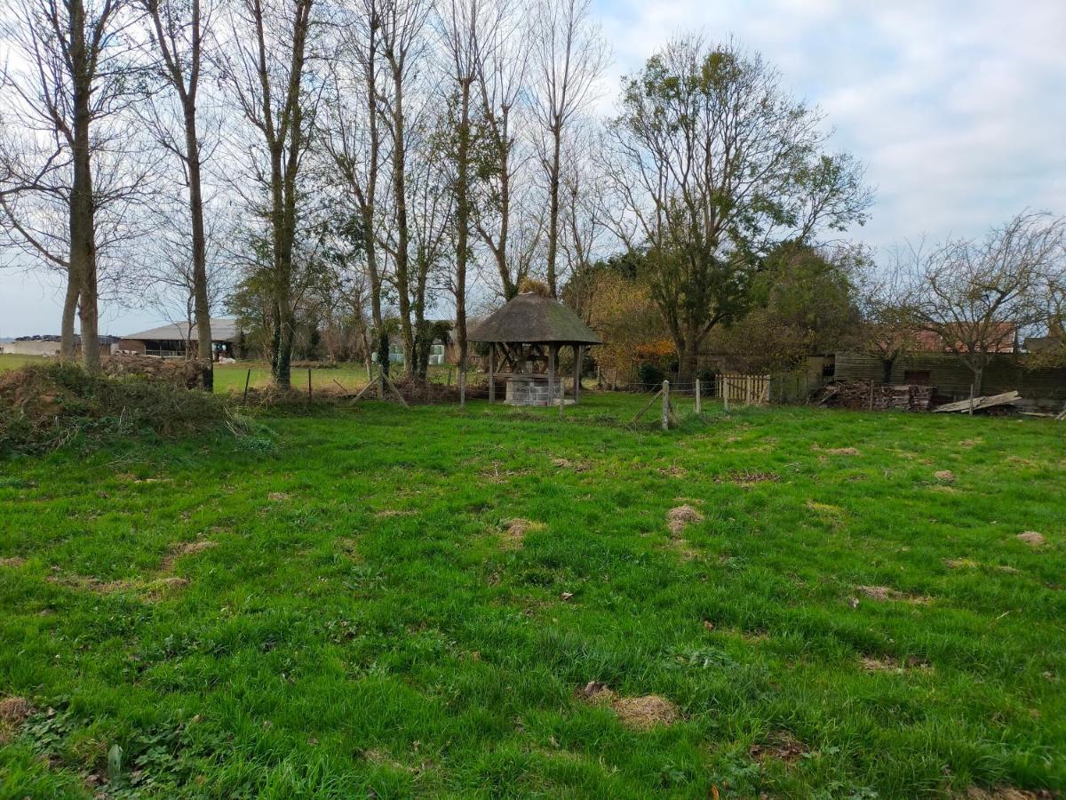 Maison Individuelle Neuve Plein Pied Avec Terrasse Et Jardin Clos 10Minutes A Pied De La Plage Quiberville Eksteriør bilde